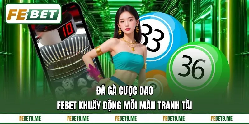 Đá Gà Cược Dao - Febet Khuấy Động Mỗi Màn Tranh Tài